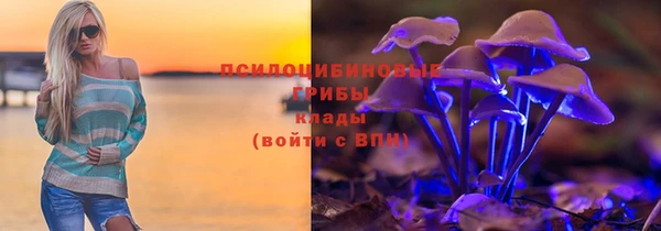 эйфоретик Аркадак