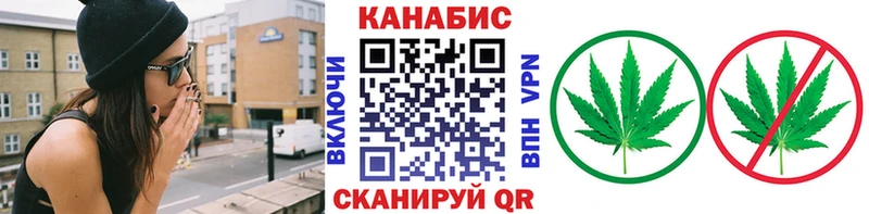 Купить  Руза  Каннабис индика 